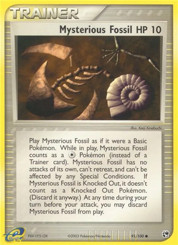 Mysterious Fossil