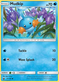 Mudkip