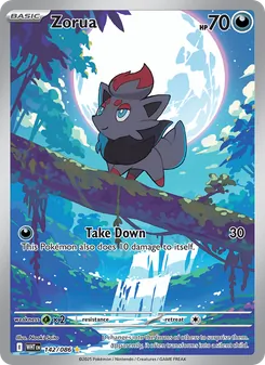 Zorua