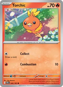 Torchic
